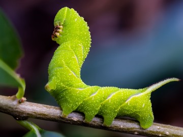 Letnie działania w Przedborskim Parku Krajobrazowym 2025, 